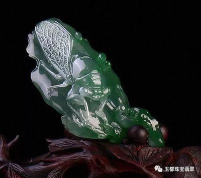 什么樣的翡翠才有收藏價(jià)值？